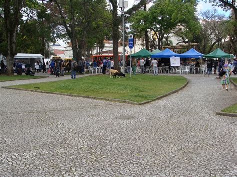 Dppr Participa Do Dia De Luta Da Popula O De Rua Defensoria P Blica