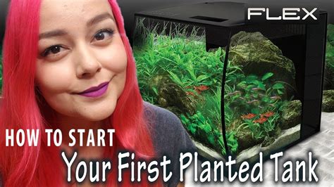 Beginners Guide To Planted Tanks Fluval Flex Aquarium Setup Youtube