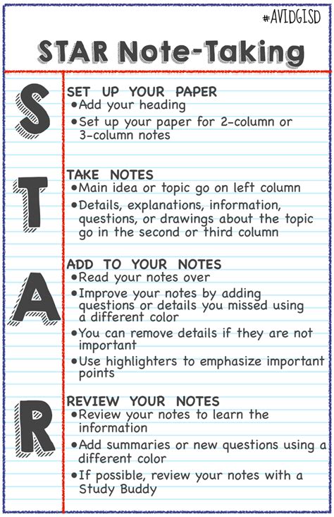 Avid Focused Notes Template Anatomy Drawing Lessons