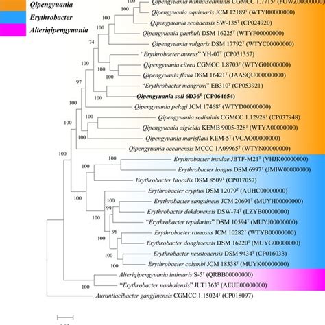 The Phylogenomic Tree Based On Bacterial Core Gene Sets Showing The