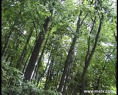 Orgasme En Direct Free Beeg Xxx Porn Video 66 XHamster XHamster