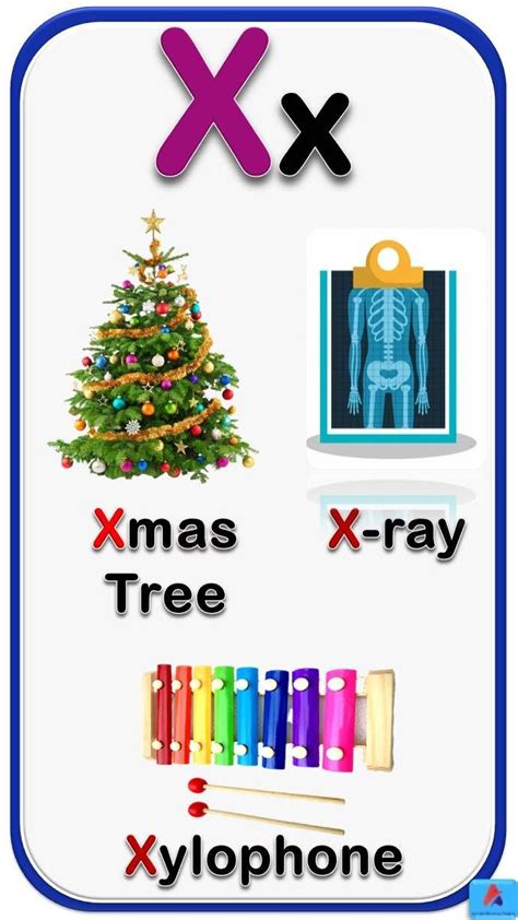 X letter words | Alphabet flash cards printable, Alphabet pictures ...