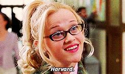 Legally Blonde Legally Blonde Photo Fanpop