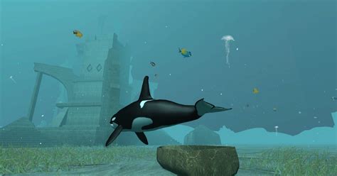 Killer Whale 🕹️ Play On Crazygames