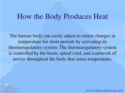 How Is Heat Produced In The Body