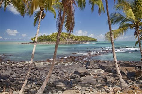 French Guiana Vaccinations And Travel Health Advice
