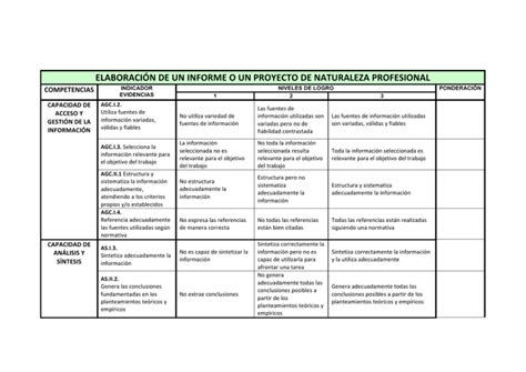 ELABORACI N DE UN INFORME O UN PROYECTO DE