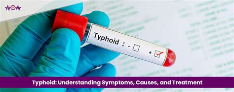 Typhoid: Understanding Symptoms, Causes, and Treatment