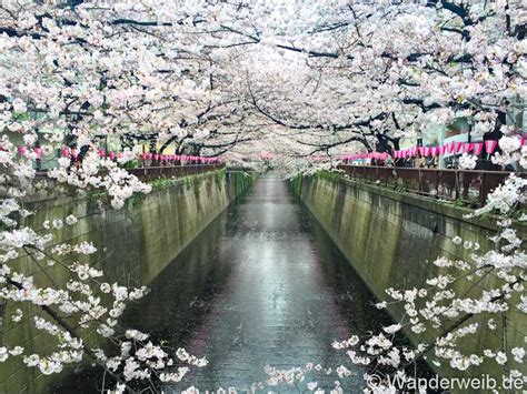 Wanderweib Der Japan Blog Germany In Tokio Expat Blogs