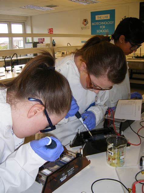 S1 Science Biolab DNA Visit - May 2012 - Dalziel High School