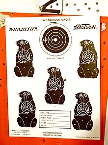 shooting range wikipedia