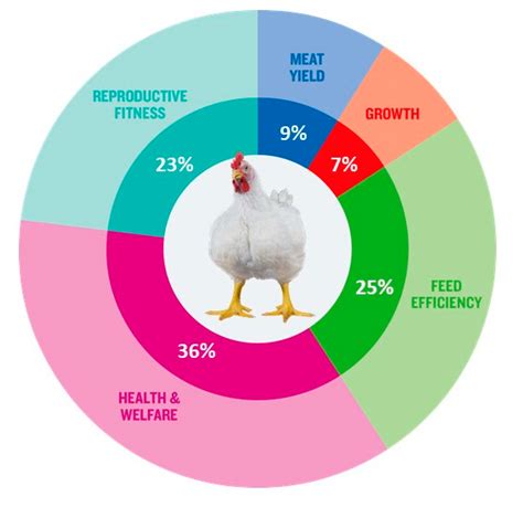 Evolutions in Commercial Meat Poultry Breeding