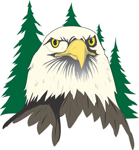 Free Cartoon Eagle, Download Free Cartoon Eagle png images, Free
