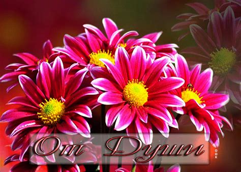 Открытка цветы чарующая с цветочками от души розовые цветы - скачать ...