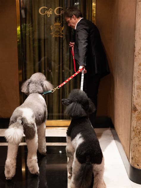 CANDACE BUSHNELL AUTHOR OF SEX AND THE CITY RETURNS TO CAFÉ CARLYLE KDHamptons