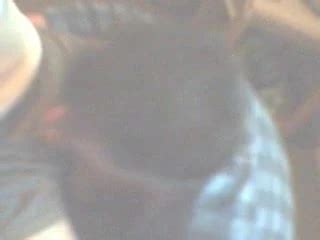 He S Good Gay Man Porn XHamster