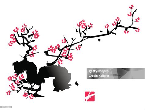 Plum Blossom Painting High-Res Vector Graphic - Getty Images