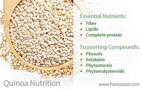 Quinoa Nutrition | HerbaZest