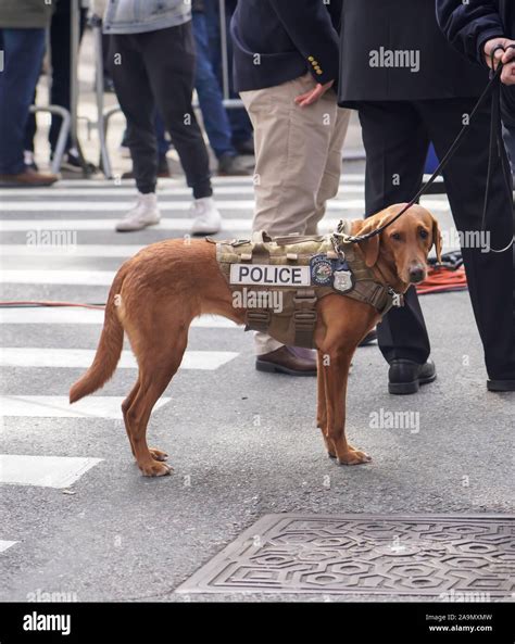 100th Annual Veterans Day Parade In New York City On November 11 2019