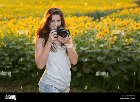 Beautiful Brunette Woman Photographer Out In Nature With Sunflowers Stock Photo Alamy