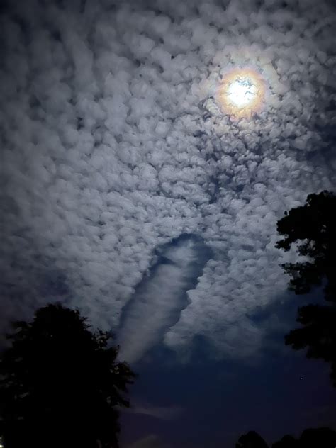 Sky Porn Irl Wilmington NC R Mildlypenis