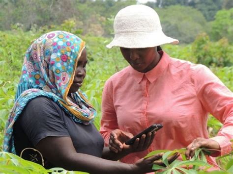 Uk Kenya Tech Hub To Support Kenyan Female Agritech Entrepreneurs