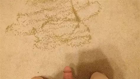 Pissing On My Bedroom Carpet Gay Amateur Porn 9a XHamster