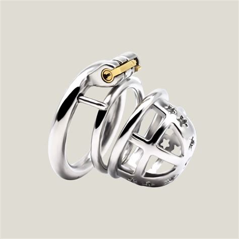 Flat Chastity Cage With Dildo Indulge In Restraint