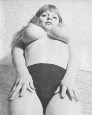 Michelle Angelo Vintage Retro Porn Pictures XXX Photos Sex Images 3697796 PICTOA