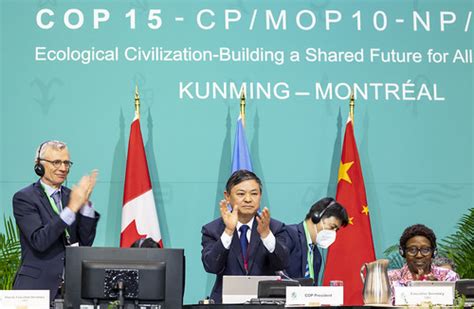 22dec19 Cop15 Adoption Of The Kunming Montreal Framework 8 Flickr