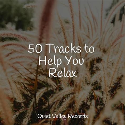 Play 50 Tracks To Help You Relax By Rain Sound Plus Cascada De Lluvia