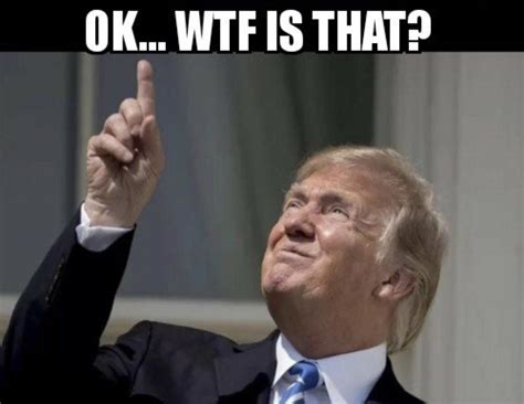 Seriously What The Fuck R Memes