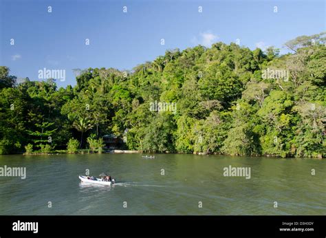 Guatemala, Rio Dulce National Park. Rio Dulce (Sweet River) runs from ...