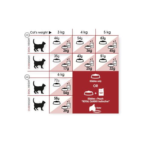 Royal Canin Fit 32 2kg - MyPetPlanet
