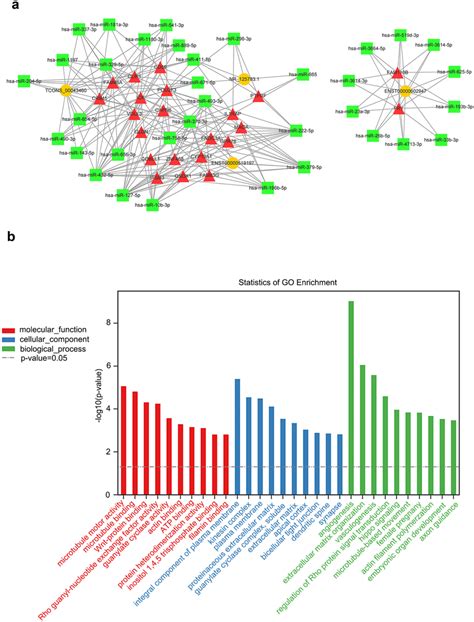 Integrated Lncrna Mirna Mrna Cerna Network Analysis A Green Square