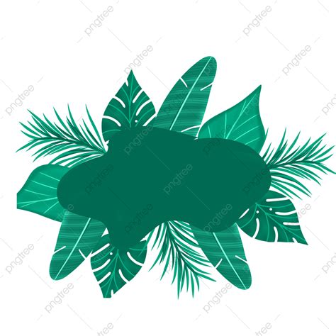 Tropical Forest Png Transparent The Beauty Of Tropical Forest Leaves