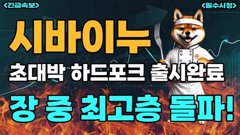 시바이누코인 시바이누 초대박 하드포크 출시완료 최고층 돌파하고 더 오를 기세 시바이누 홀더분들 필수시청 Youtube