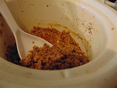 Taco Meat (Day 18) – Believe in the Magic Traci Diary