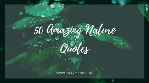 50 Amazing Nature Quotes Inspirational Nature Quotes —