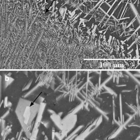 Microstructure Of The Equiaxed Zone Zone E In Fig 3 Of Alcr Alloys