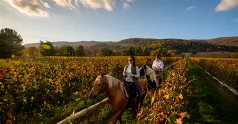 Charlottesville Wine Tours | Culinary Tours | Visit Charlottesville