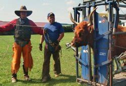 Home Cattle Drive Team