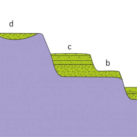 ТЕРАСИ | Геологічний словник