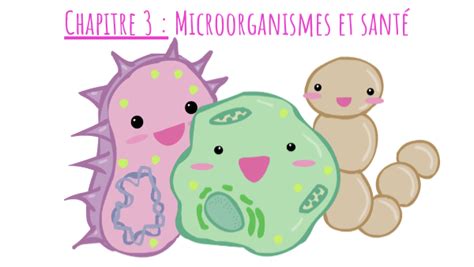Diapo définition microbiote