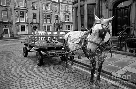 Horse drawn milk float Photograph by Robert Douglas - Fine Art America