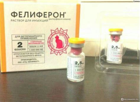 Противовирусные и иммуностимулирующие препараты НТЦ "БиоИнвест ...