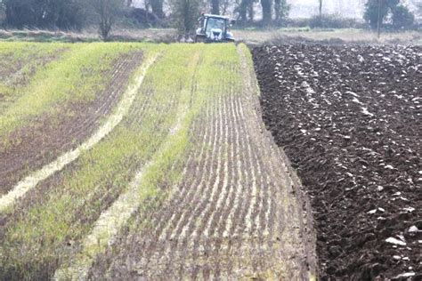 New Degree Course In Agriculture For Wexford Premium