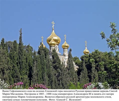 Иерусалим. Гефсиманский сад: grimnir74 — LiveJournal