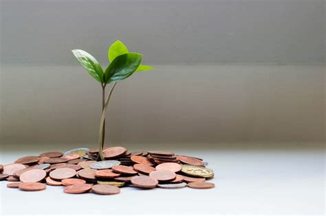 What Is Capital? Definition, Types, and Examples - Pareto Labs