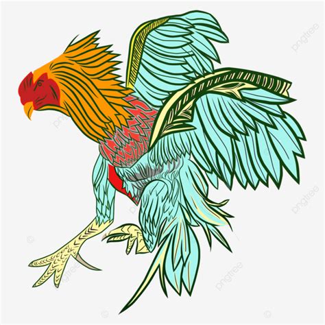 gambar ilustrasi daftar ayam bangkok ilustrasi  juara png